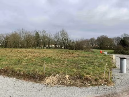 vente terrain 410 m² à corné (49630)  63 000 €