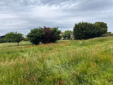 vente terrain 650 m² à villenave-de-rions (33550)  65 000 €