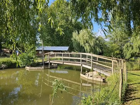 boutique 54000 m²