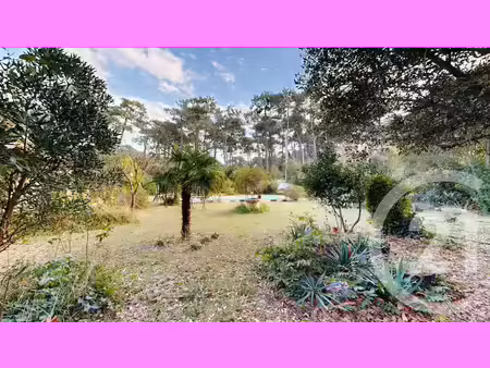vente terrain à batir 962 m² à anglet (64600)  895 000 €