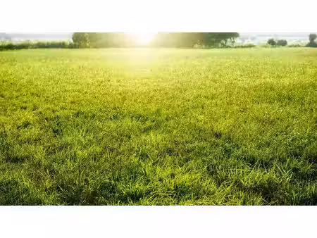 vente terrain 259 m² à villebon-sur-yvette (91140)  159 000 €