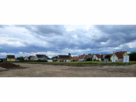 vente terrain 499 m² à muntzenheim (68320)  124 750 €