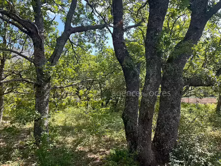 vente terrain 1800 m² à rustrel (84400)  176 000 €