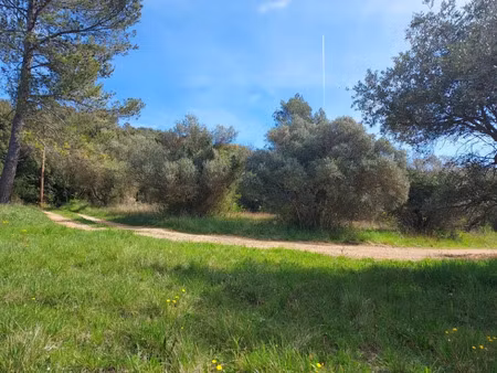vente terrain 1376 m² à camps-la-source (83170)  176 000 €