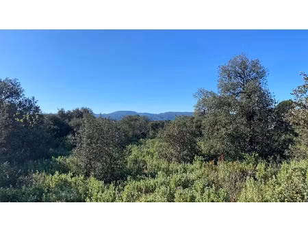 vente terrain 1165 m² à puget (84360)  240 000 €