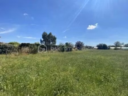 vente terrain 2002 m² à saint-jory (31790)  223 000 €