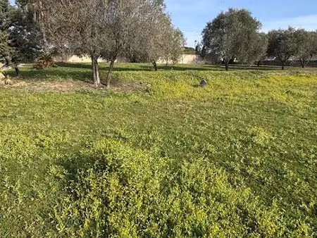 vente terrain 631 m² à roquebrune-sur-argens (83520)  279 000 €