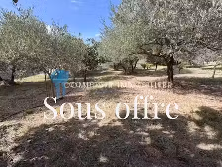vente terrain 613 m² à vergèze (30310)  251 000 €