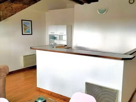 appartement 50m²  centre ville