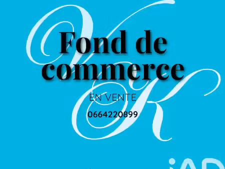 vente locaux professionnels 0 pièces 200 m² à cravant (45190)  55 400 €