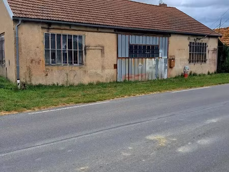 vente locaux professionnels 1 pièce 195 m² à trézelles (03220)  67 000 €