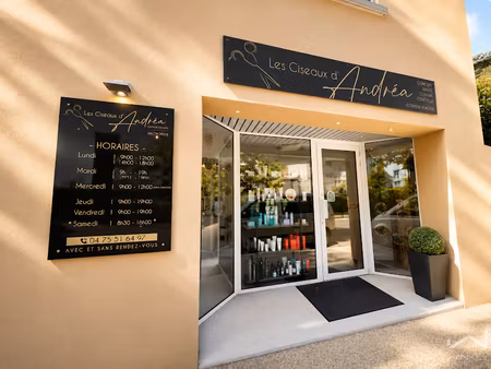 vente locaux professionnels 0 pièces 72 m² à saint-paul-trois-châteaux (26130)  105 900 €