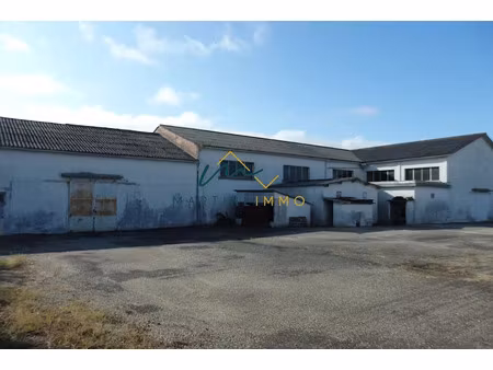 vente locaux professionnels 0 pièces 1300 m² à marmande (47200)  212 000 €