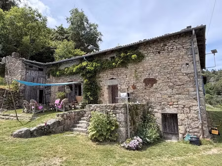 vente immeuble 6 pièces 171.45 m² à saint-symphorien-de-mahun (07290)  575 000 €