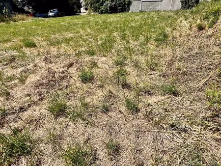 terrain borné constructible 1057m²