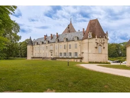 coup de coeur assure ! rare. sublime appartement entierement renove dans un chateau a 20mn