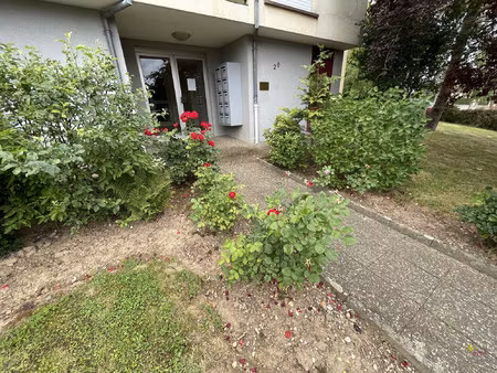 appartement 3 pièces