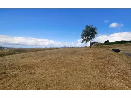 terrain montcabrier m² t- à vendre  107 000 €