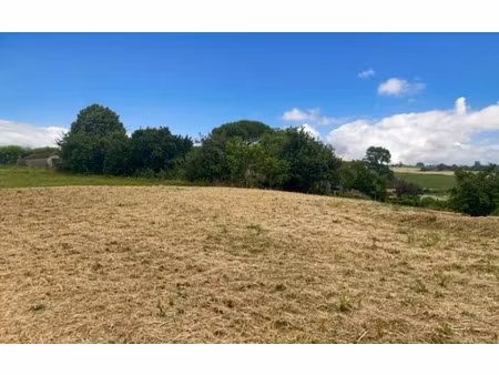 terrain montcabrier m² t- à vendre  132 000 €