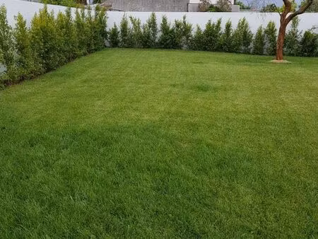 vente terrain 745 m² montussan (33450)