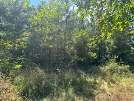 terrain à vendre de 44600 00 m² rion des landes (40)