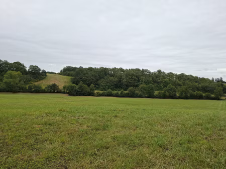 très beau terrain