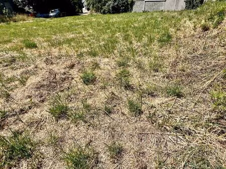 vente terrain à treffiagat (29730) : à vendre / 1057m² treffiagat