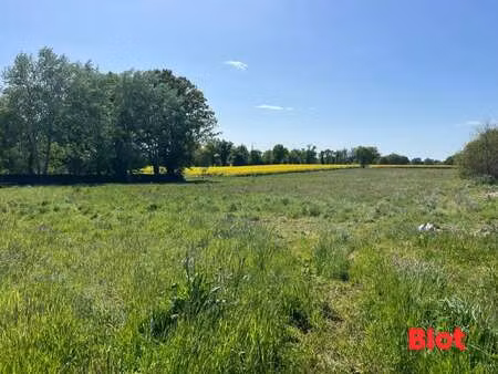 vente terrain à saint-germain-du-pinel (35370) : à vendre / saint-germain-du-pinel