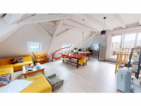 cernay hyper centre - triplex inversé et espace modulable de