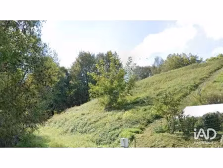 terrain à féas (64570)