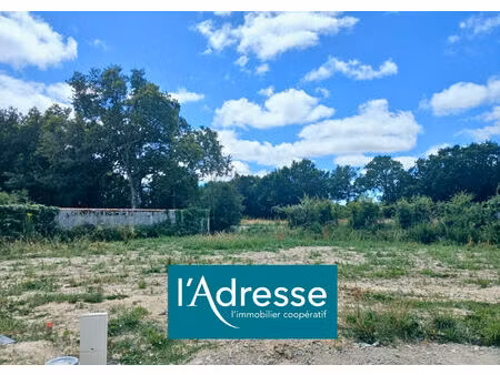 vente terrain  438.00m²  saint