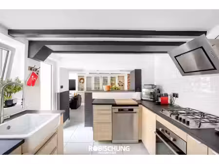 secteur dannemarie à traubach le bas : ensemble immobilier p