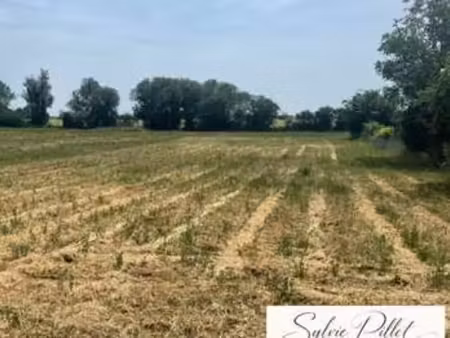 vente terrain à sainte-radégonde-des-noyers (85450) : à vendre / 1481m² sainte-radégonde-d