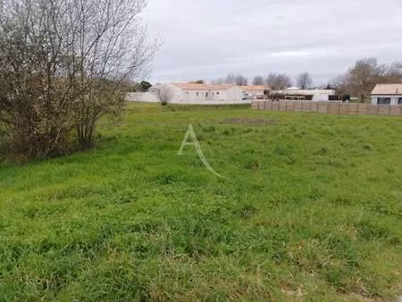vente terrain au champ-saint-père (85540) : à vendre / 759m² le champ-saint-père