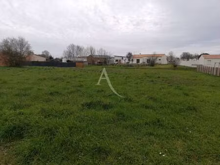 vente terrain au champ-saint-père (85540) : à vendre / 856m² le champ-saint-père