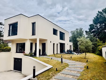 maison bois le roi