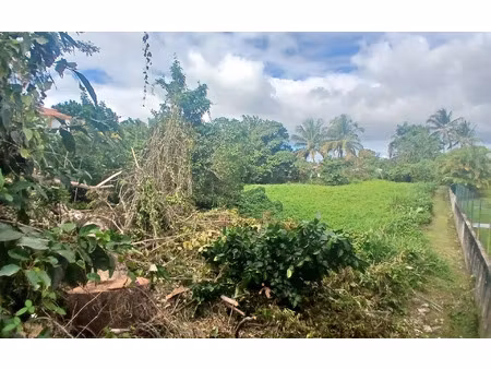 terrain sainte-anne m² t- à vendre  162 000 €