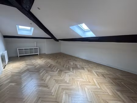 appartement 2 pieces // renove // lyon 2 eme