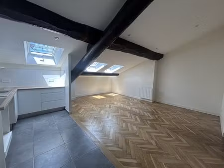 appartement 2 pieces // renove // lyon 2 eme