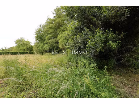 nouveau: terrain constructible.