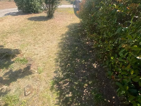 terrain viabilise