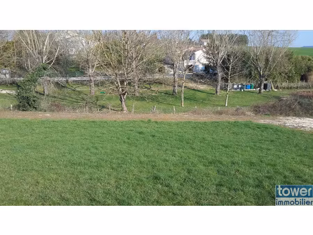 terrain