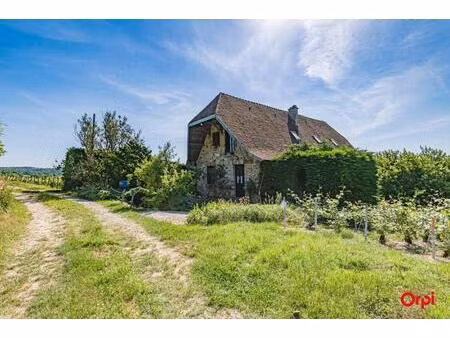 vente maison 5 pièces 196 m² vallées en champagne (02330)