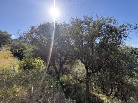 vente terrain 7875 m² la roquette-sur-var (06670)