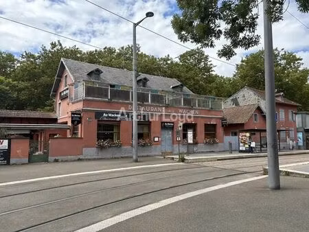 vente commerce schiltigheim 67300 520m²