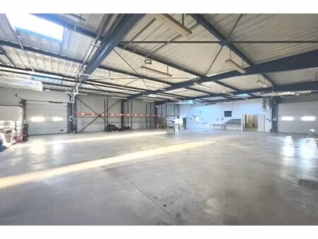 vente local d’activités perpignan 66000 827m²
