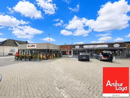 vente local d’activités sarre union 67260 691m²