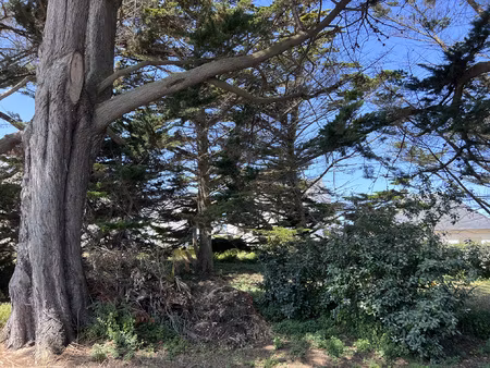 achat terrain 371m² erquy 22430