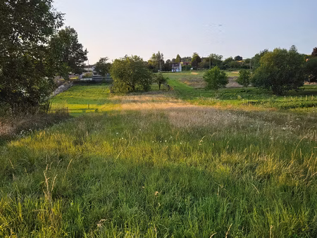 achat terrain 1 780m² nailly 89100