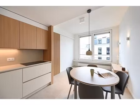 recent gerenoveerd studio-appartement met aparte slaapkamer